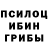 Псилоцибиновые грибы ЛСД Anastasia Vital'evna
